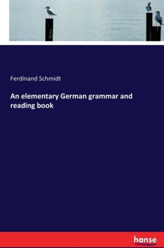 An Elementary German Grammar and Reading Book av Ferdinand Schmidt (Paperback)
