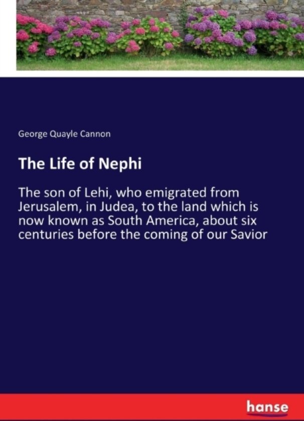 The Life of Nephi av George Q Cannon (Paperback)