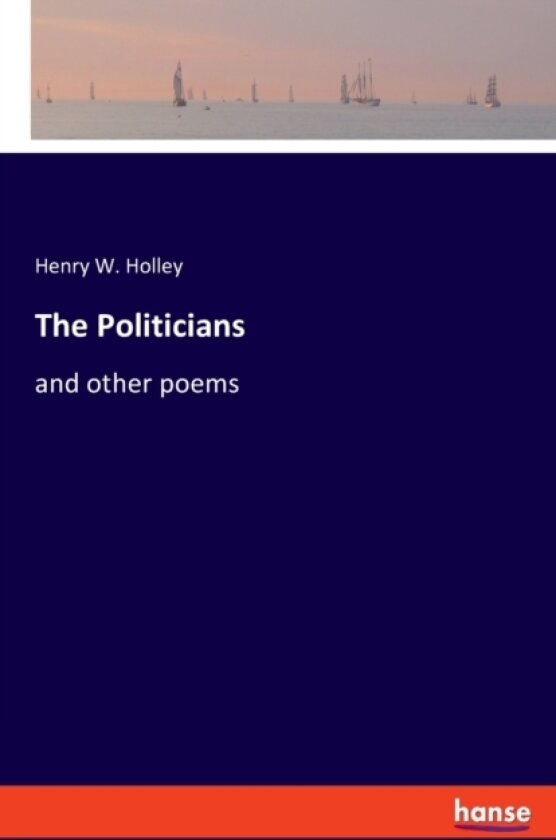The Politicians av Henry W Holley (Paperback)