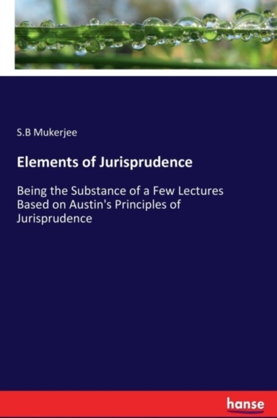 Elements of Jurisprudence av S B Mukerjee (Paperback)