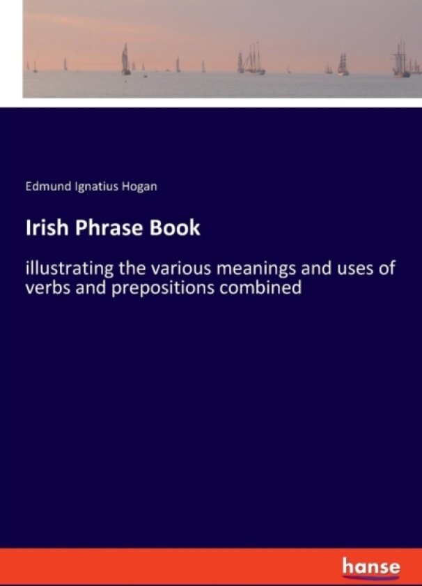 Irish Phrase Book av Edmund Hogan (Paperback)