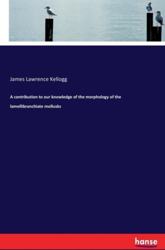 A contribution to our knowledge of the morphology of the lamellibranchiate mollusks av James Lawrence Kellogg (Paperback)