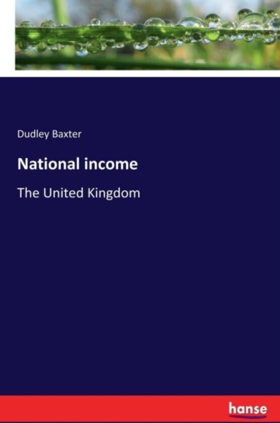 National income av Dudley Baxter (Paperback)
