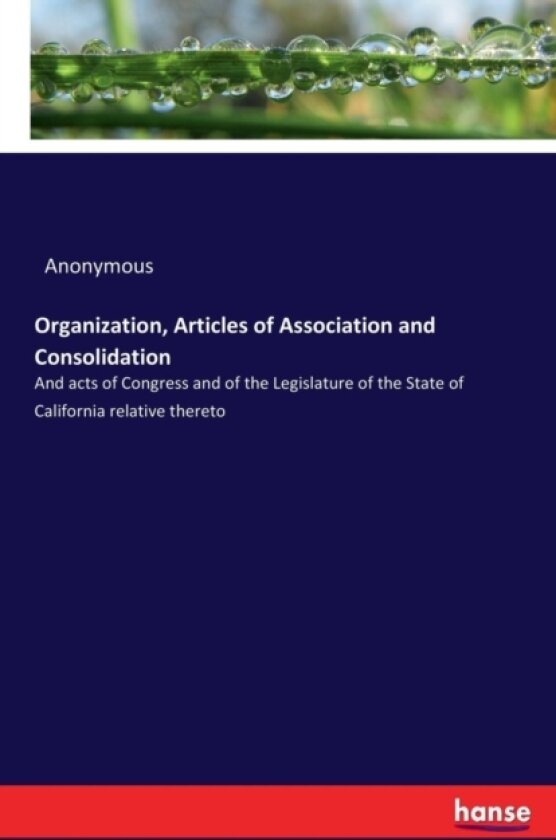 Organization, Articles of Association and Consolidation av Anonymous (Paperback)