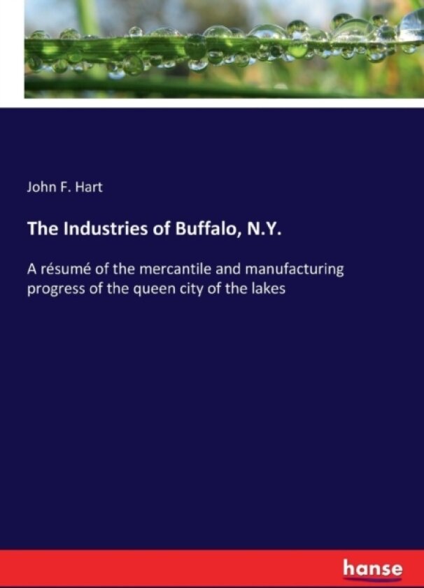 The Industries of Buffalo, N.Y. av John F Hart (Paperback)