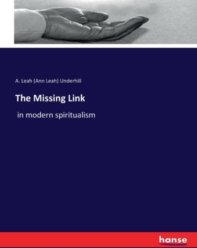 The Missing Link av A Leah Underhill (Paperback)