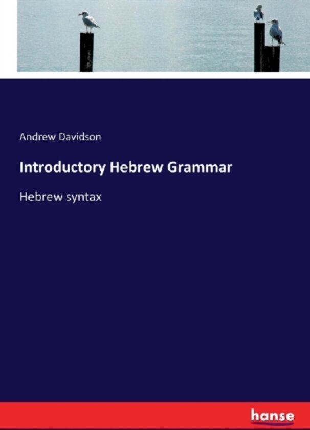 Introductory Hebrew Grammar av Andrew Davidson (Paperback)