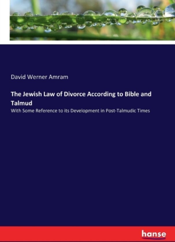 The Jewish Law of Divorce According to Bible and Talmud av David Werner Amram (Paperback)