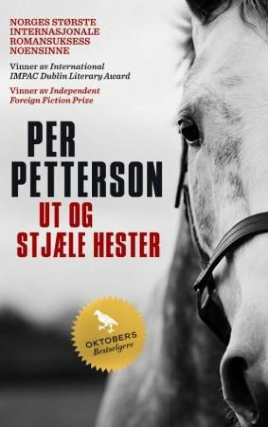 Ut og stjæle hester av Per Petterson
