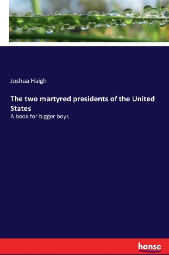 The two martyred presidents of the United States av Joshua Haigh (Paperback)