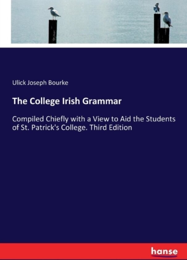 The College Irish Grammar av Ulick Joseph Bourke (Paperback)