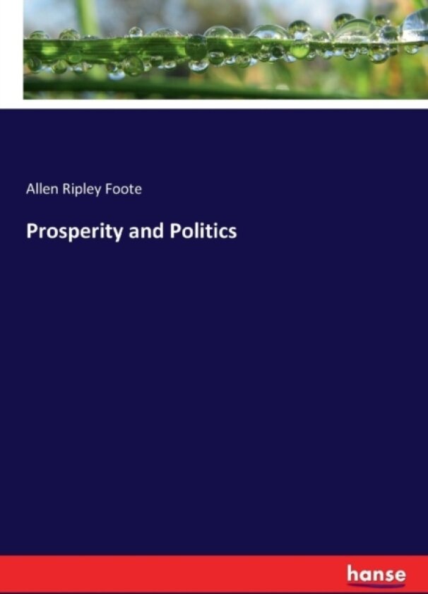 Prosperity and Politics av Allen Ripley Foote (Paperback)