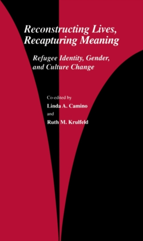 Reconstructing Lives, Recapturing Meaning av Linda A. Camino, Ruth M. Krulfeld (Paperback)