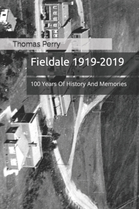Fieldale 1919-2019 av Thomas D Perry (Paperback)