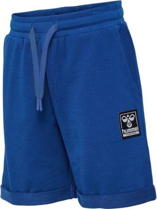 Tyler shorts - navy peony