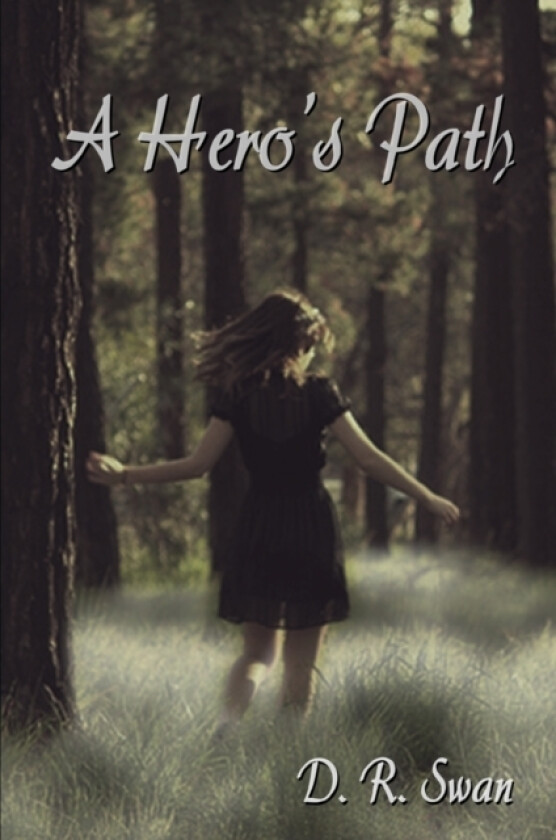 A Hero's Path av D R Swan (Paperback)