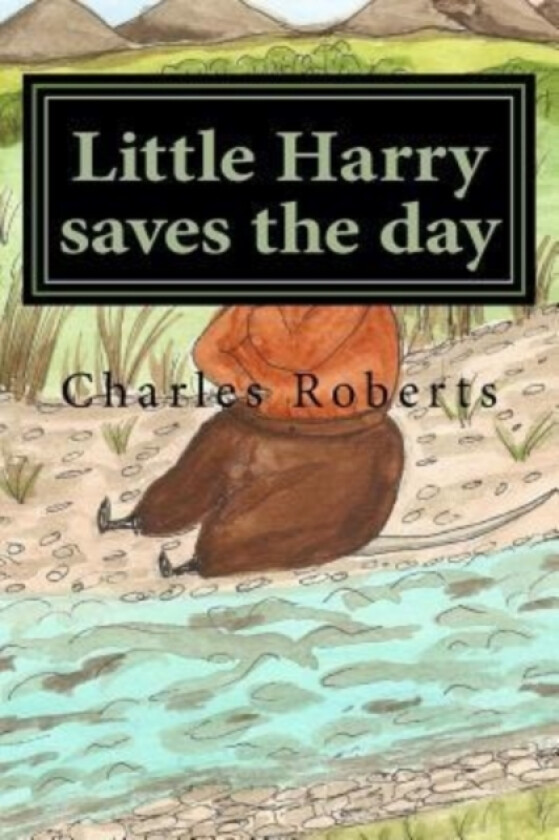 Little Harry saves the day av Charles Roberts (Paperback)