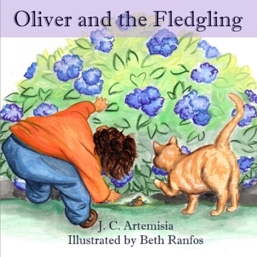 Oliver and the Fledgling av J C Artemisia (Paperback)