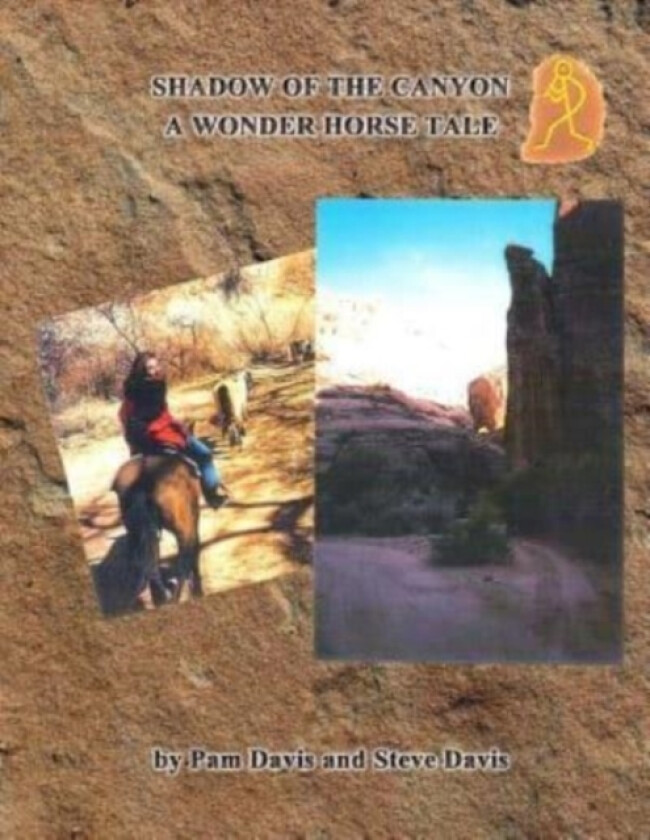 Shadow of the Canyon av Steve Davis, Pam Davis (Paperback)