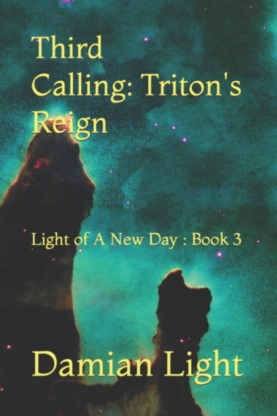 Third Calling av Damian Forest Light (Paperback)
