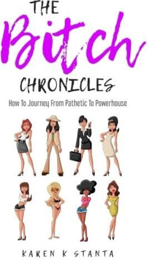 The Bitch Chronicles av Karen K Stanta (Paperback)