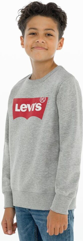 Levi'S Batwing Genser Jr Grå 12år