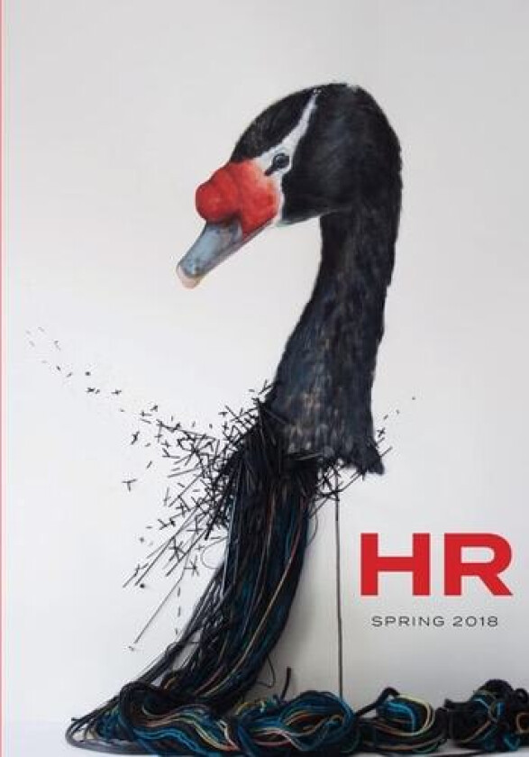 Hypertext Review 2018: SPRING 2018, Volume 2, Issue 1 av Christine Elizabeth Maul-Rice, Chelsea Laine Wells (Paperback)