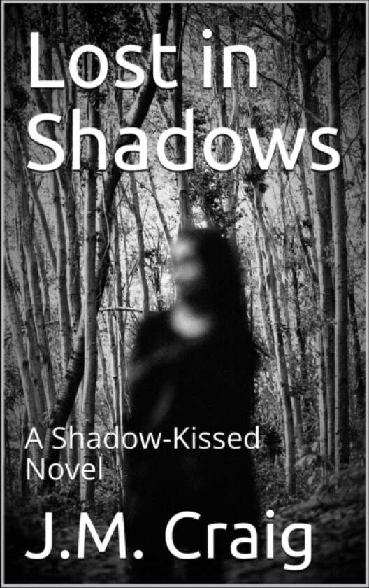 Into the Shadows av J M Craig (Paperback)