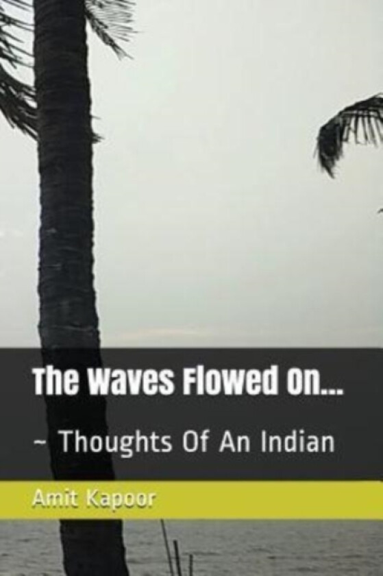 The Waves Flowed On... av Amit Kapoor (Paperback)