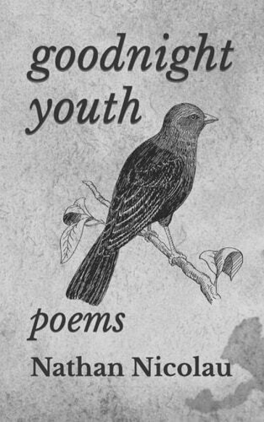 Goodnight Youth av Nathan Nicolau (Paperback)