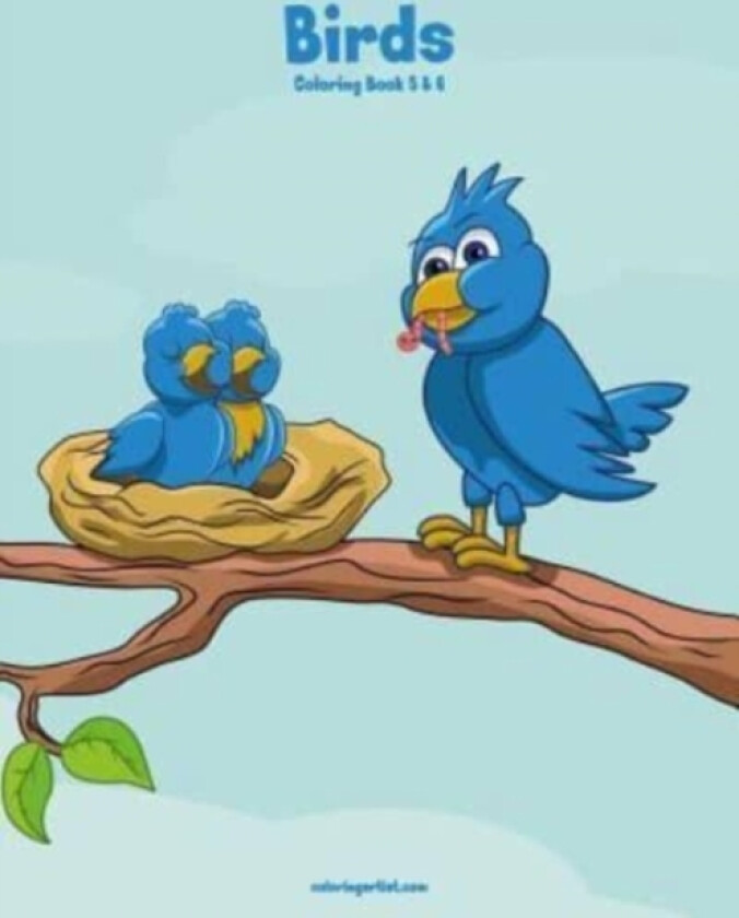 Birds Coloring Book 5 & 6 av Nick Snels (Paperback)