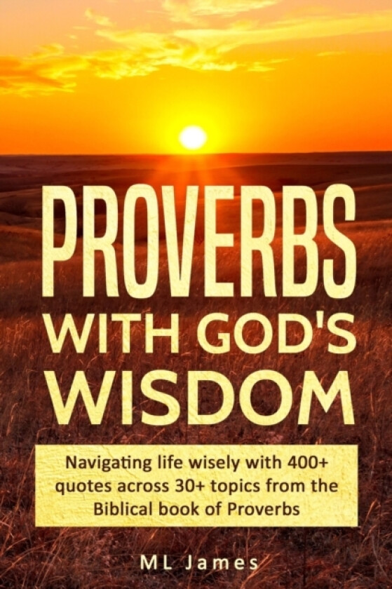 Proverbs with God's Wisdom av ML James (Paperback)