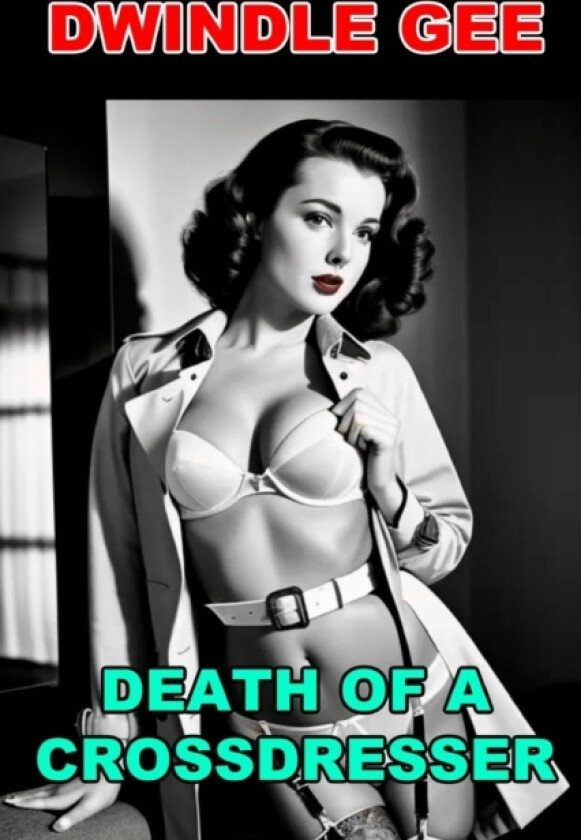 Death of a Crossdresser av Dwindle Gee (Paperback)