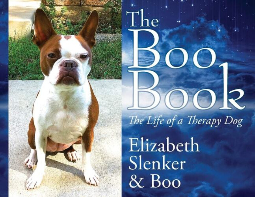 The Boo Book av Elizabeth Slenker (Paperback)
