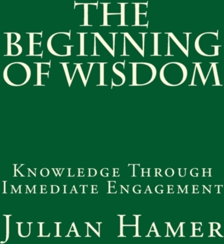 The Beginning of Wisdom av Julian Hamer (Paperback)