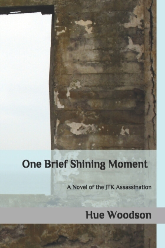 One Brief Shining Moment av Hue Woodson (Paperback)