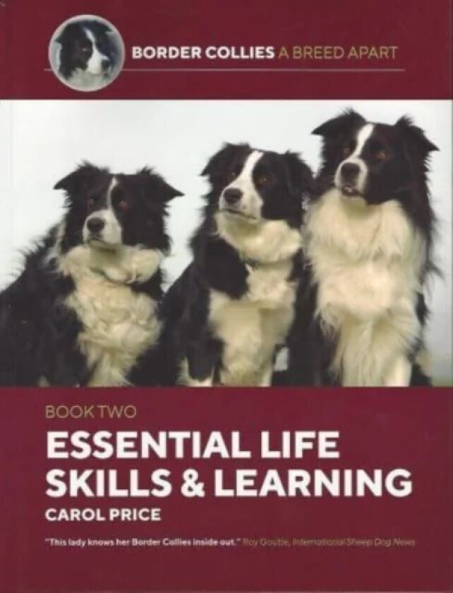 Life Skills and Learning av Carol Price