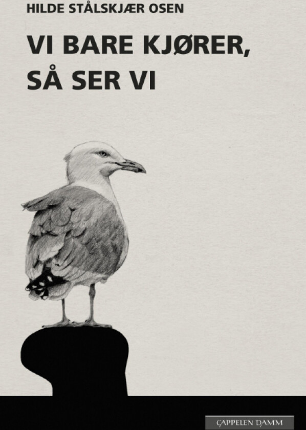 Vi bare kjører, så ser vi av Hilde Stålskjær Osen