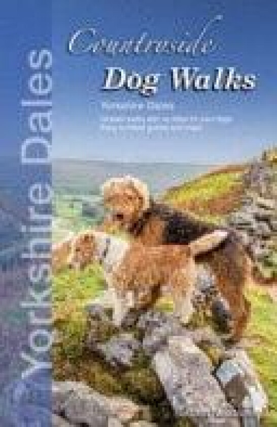 Countryside Dog Walks: Yorkshire Dales av Seddon Neudorfer (Paperback)