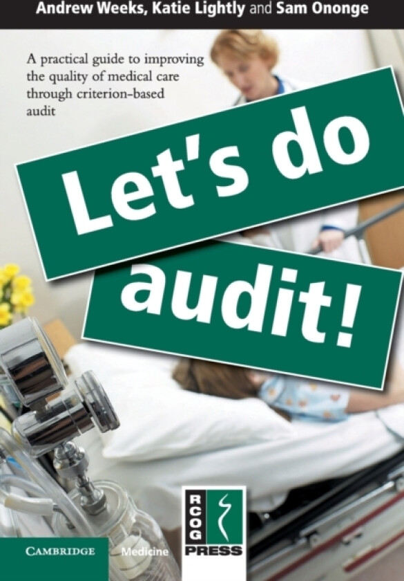 Let's Do Audit! av Andrew Weeks, Katie Lightly, Sam Ononge (Paperback)