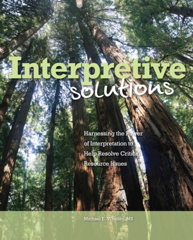 Interpretive Solutions av Michael E. Whatley (Paperback)