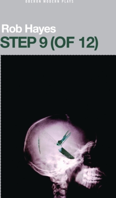Step 9 (of 12) av Rob Hayes (Paperback)