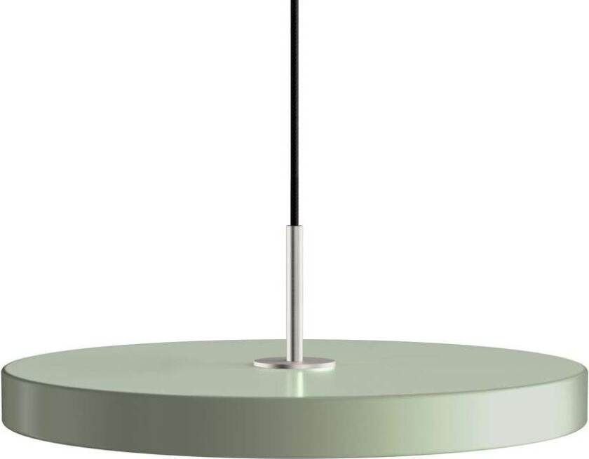 Asteria Pendel Medium Olive/Steel Top
