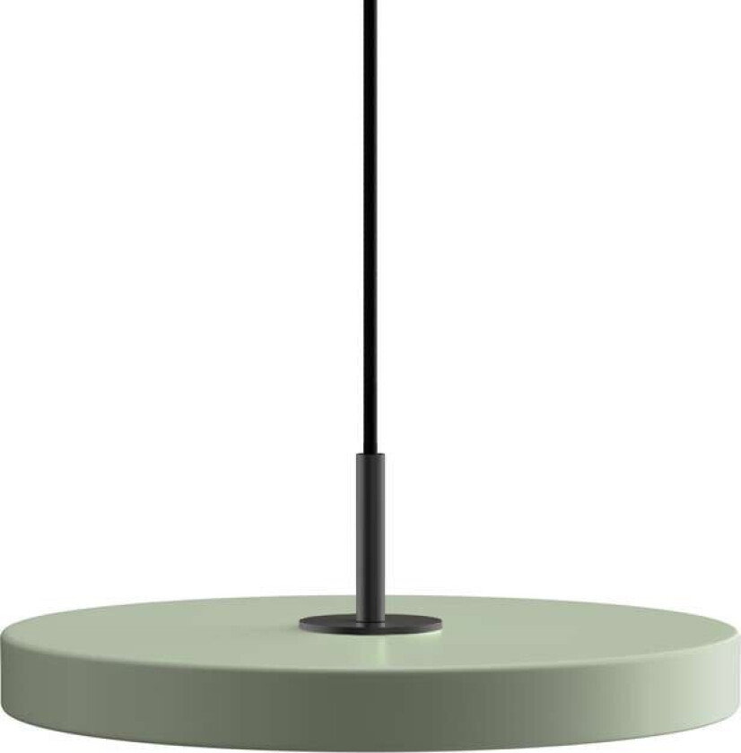 Asteria Pendel Mini Olive/Black Top