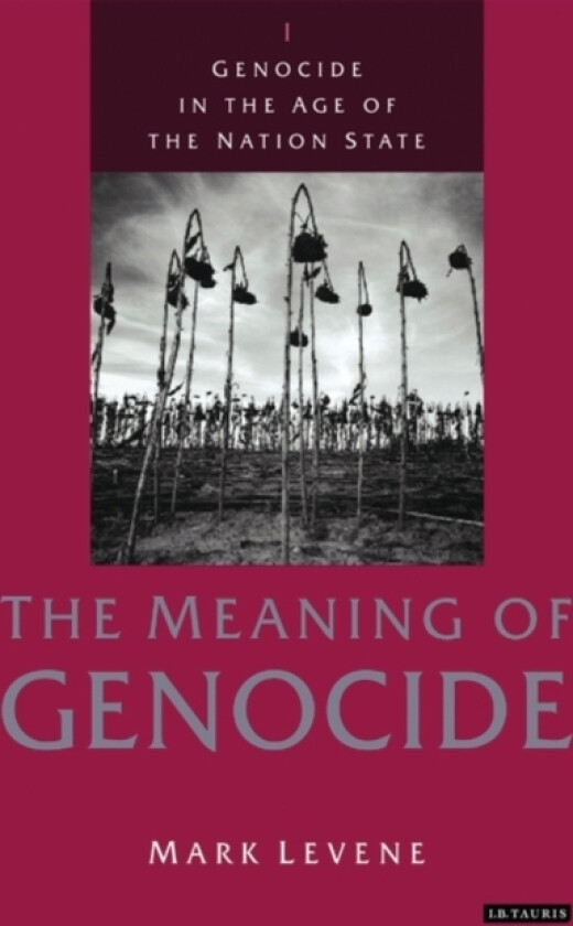 Genocide in the Age of the Nation State av Mark Levene (Paperback)