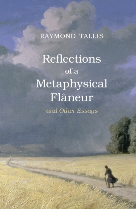 Reflections of a Metaphysical Flaneur av Raymond Tallis (Paperback)