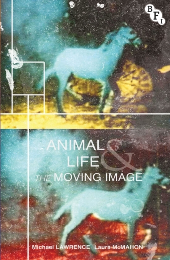 Animal Life and the Moving Image av Michael Lawrence, Laura McMahon (Paperback)