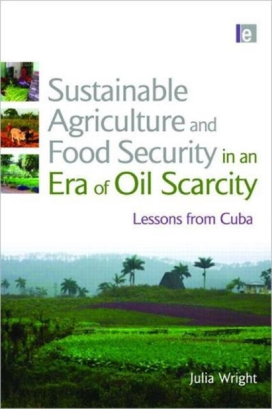 Sustainable Agriculture and Food Security in an Era of Oil Scarcity av Julia Wright (Hardcover)