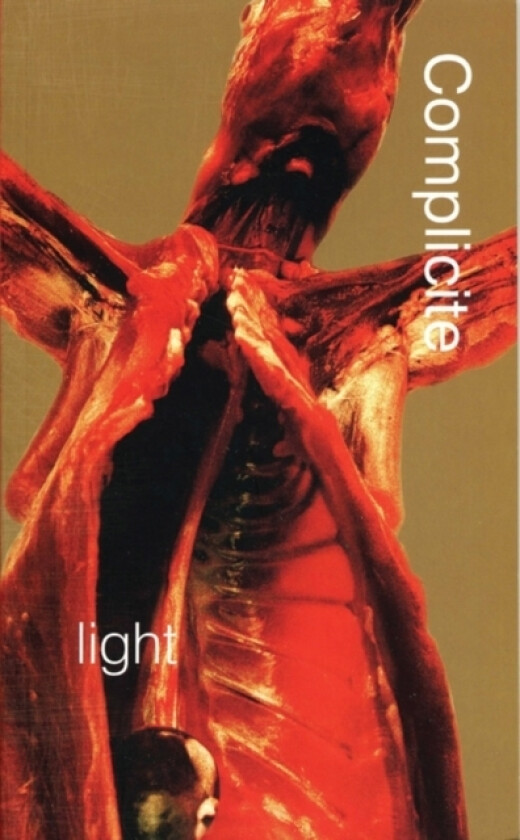 Light av Torgny Lindgren (Paperback)