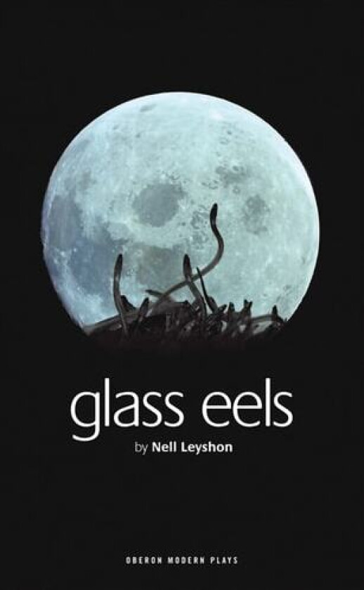 Glass Eels av Nell Leyshon (Paperback)